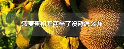​菠萝蜜切开两半了没熟怎么办