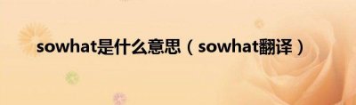 ​sowhat是什么意思（sowhat翻译）