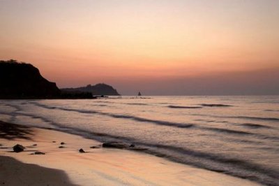 ​只争朝夕不负韶华的意思是什么？又出自哪里？