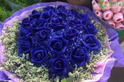 ​蓝色妖姬花语和价格是多少？