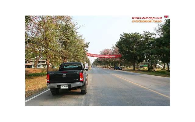 接吻咬对方舌头代表什么（男人接吻咬对方舌头代表什么）