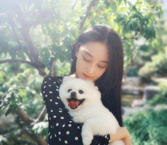 ​何捷谈过几次恋爱,张馨予是他的初恋吗（何捷初恋是张馨予吗）