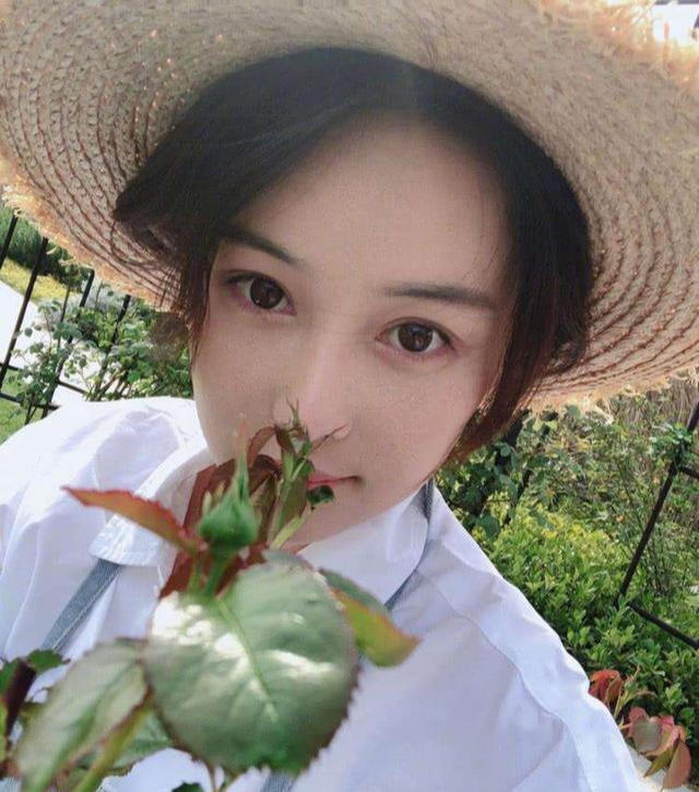 何捷谈过几次恋爱,张馨予是他的初恋吗（何捷初恋是张馨予吗）