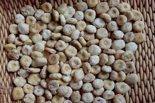 天南星是什么样的草药?