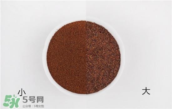 海藻面膜大颗粒好还是小颗粒好?海藻面膜怎么选择?