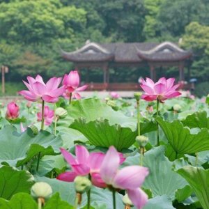 ​女情人把你当备胎的表现，说明女人拿你当备胎了