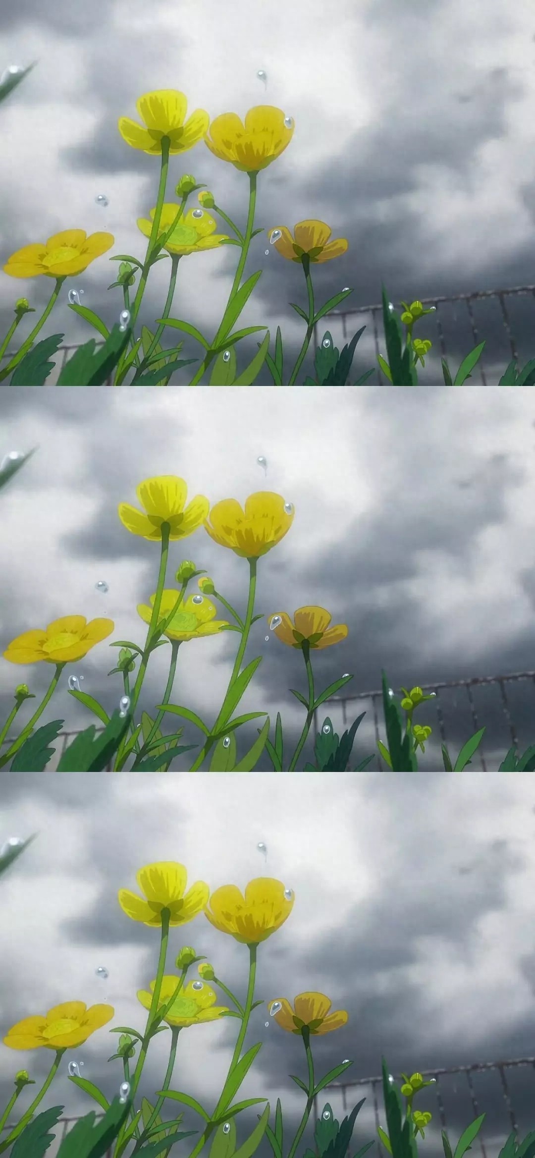 日本动漫电影天气之子,高清全屏手机壁纸,喜欢就拿走哦