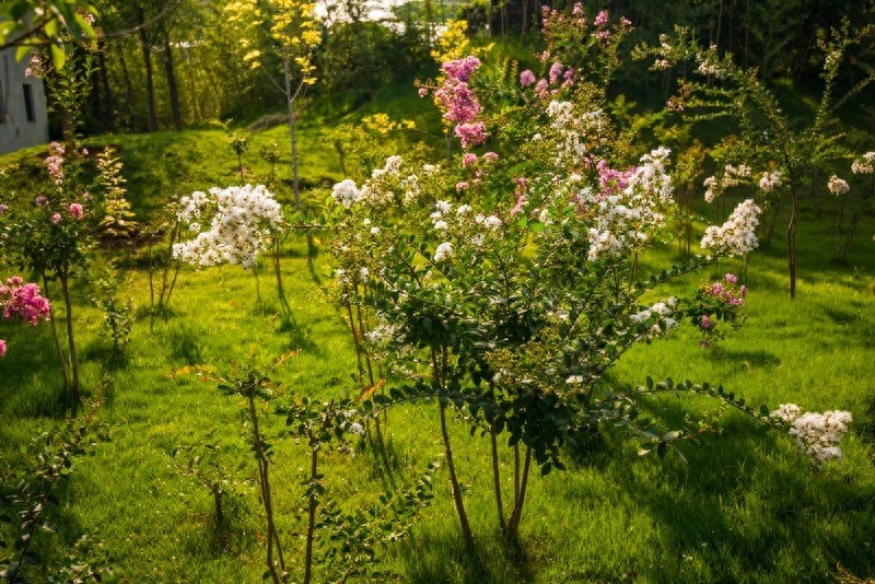 国家AAAA景区，荟萃园林之精华，大饱眼福赏美景，郑州绿博园