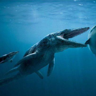 十大已灭绝的十大鲨鱼排名 巨牙鲨上榜(史上最强掠食者之一) 1
