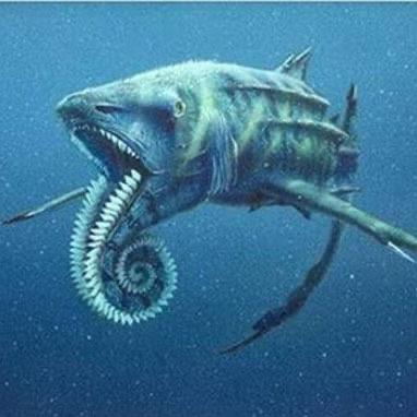 十大已灭绝的十大鲨鱼排名 巨牙鲨上榜(史上最强掠食者之一) 6