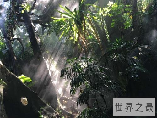 全球即将消失的十大美景,再不去看看将成为世界遗憾