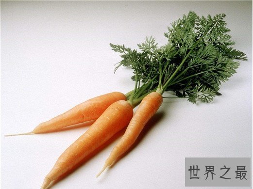 十大健康蔬菜排行,世界公认十大健康蔬菜