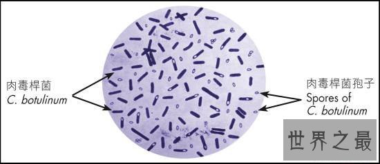 人类史上十大最意外的发明,伟哥原来是心脏药