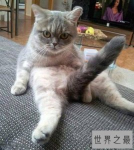 ​人类史上十大最意外的发明，伟哥原来是心脏药