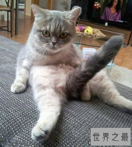 人类史上十大最意外的发明,伟哥原来是心脏药