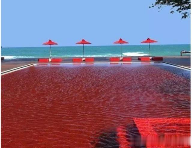 世界上最恐怖的游泳池,让人看了就害怕,你敢去试试么?