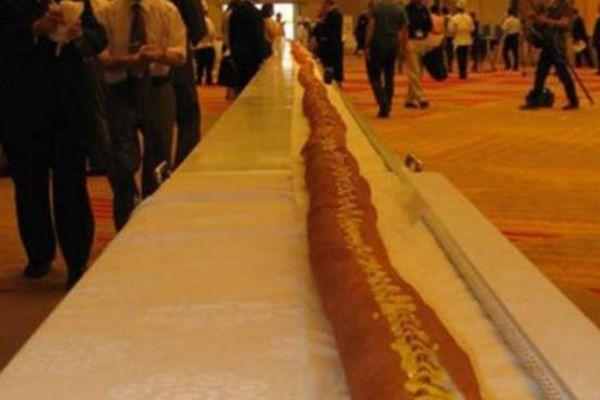 吉尼斯“最污”的4大世界纪录,尤其是第三个,看完三观被刷新了