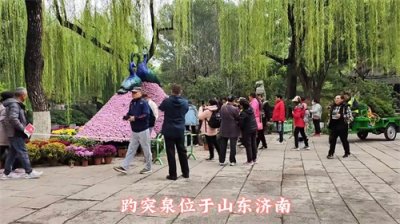 ​天下第一泉，济南趵突泉景色怡人风景如画，令人流连忘返