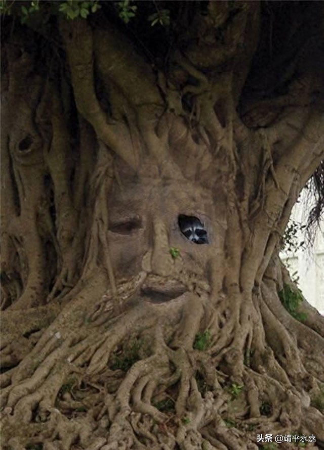 令人震撼的天下奇观组图，太罕见奇妙了