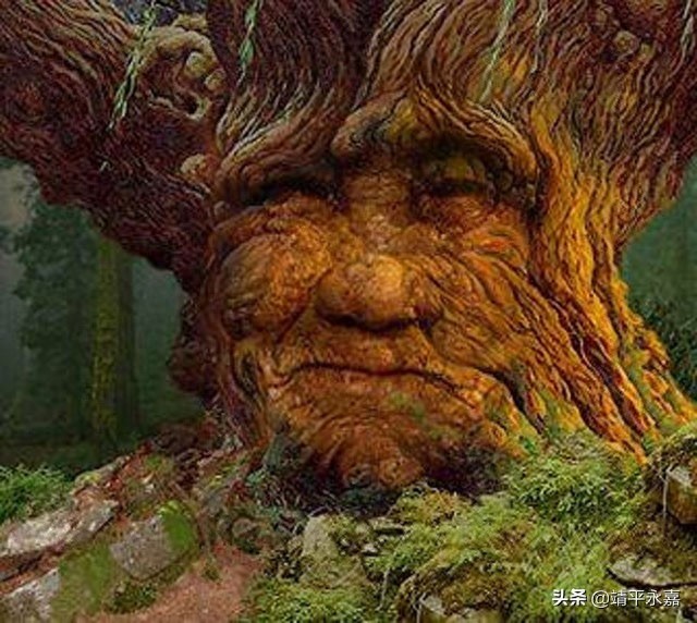 令人震撼的天下奇观组图，太罕见奇妙了