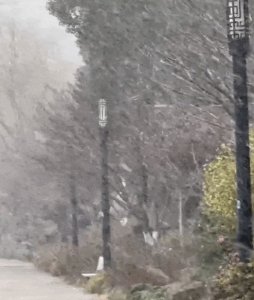 ​刚刚，杭州市区下雪啦！好大！浙江一早连发数十条预警！