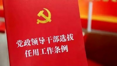 ​市长秘书能对处级领导发号施令吗？狂飙中的王秘书不是一般嚣张