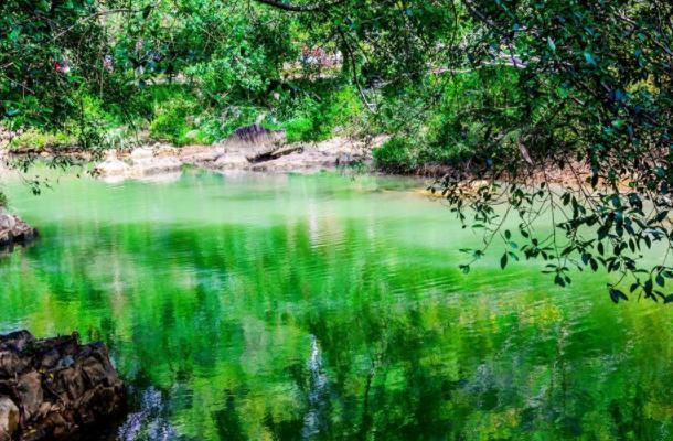 广西最美长寿之乡，依山傍水绿树成荫，百岁老人还超过70位