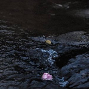 ​天蝎座：世间文字八万个，唯有情字最杀人