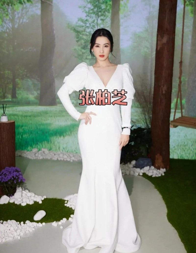 张柏芝资料个人资料介绍(张柏芝资料个人资料)