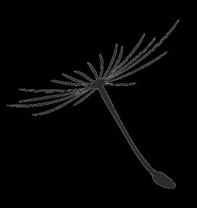 ​关于领取2019年独生子女费的通知