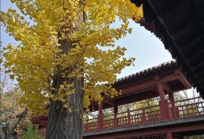 ​中学生励志书籍推荐(适合初中生看的励志书籍推荐)