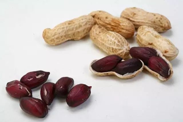 转基因和非转基因的区别（先稍微了解下转基因）