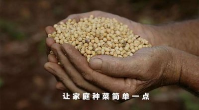 ​转基因和非转基因的区别（先稍微了解下转基因）