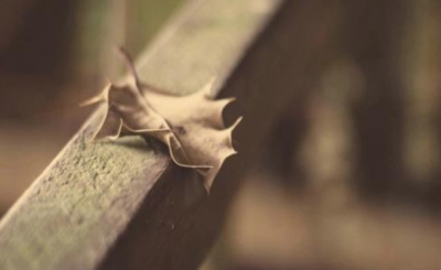 ​老婆天天骂我没用窝囊废，怎么讨好老婆