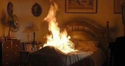 ​海猪多少钱一斤 海猪多少钱一只