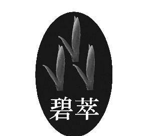 碧罗雪山的来历