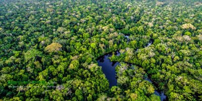 ​亚马逊雨林正退化为草原？地球之肺排碳超过吸碳，人类时间不多了
