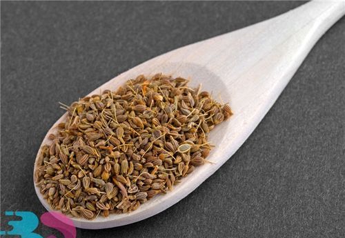 小茴香泡茶的功效