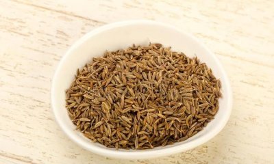 ​小茴香籽怎么泡水，小茴香籽煮水煮多久？