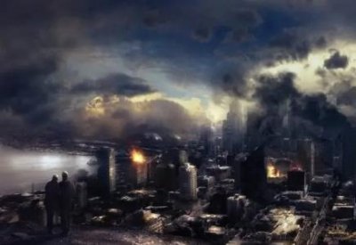 ​茶杯猫最少多少钱一只