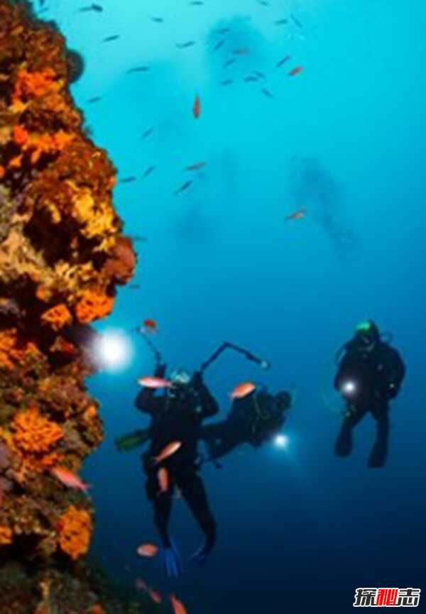 为什么人类到不了海底?关于海洋的10大隐藏秘密