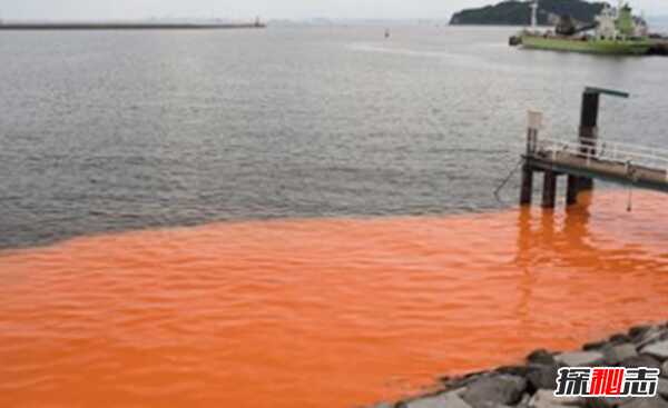 为什么人类到不了海底?关于海洋的10大隐藏秘密