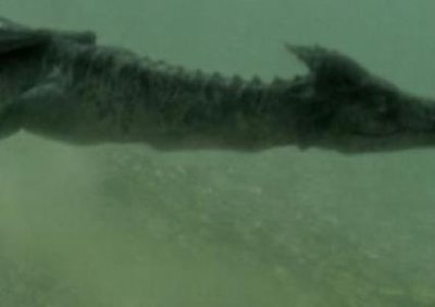 ​华为拒绝富士康的代工是真的吗？