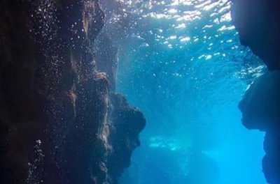 ​风信子是球根花卉吗？