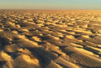 ​毒蜘蛛级导弹艇 毒蜘蛛级导弹艇模型