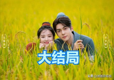 ​《田耕纪》的六大结局，第六个结局最让人不满意！