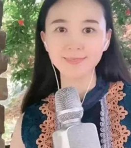 ​歌手尹相杰妻子的 介绍一个华丽的拍卖师 的故事充满了勇气和决