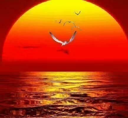 村容村貌怎么描述，谁手机上有拍的农村干净的村容村貌？图8