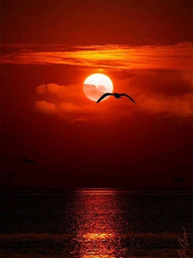 村容村貌怎么描述，谁手机上有拍的农村干净的村容村貌？图4