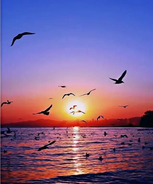 村容村貌怎么描述，谁手机上有拍的农村干净的村容村貌？图5